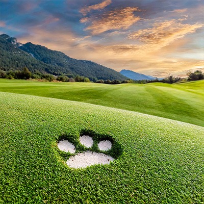 2025 Putts for Paws fundraiser